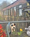 Rochdale Observer