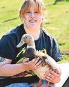 Quackers! Injured duck uses wheels to get around Quackers! Injured duck uses wheels to get around