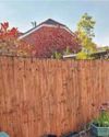 Fence dispute forcing widow to sell her house Fence dispute forcing widow to sell her house