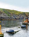 Project to harness the power of Welsh seaweed gets £1m boost2