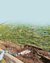Water firm fined over sewage spills at wildlife haven7