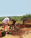 City park gives up further secrets from ancient past7