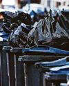 'Black bins should go out every three or four weeks'1