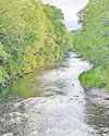 Live a life of peace, tranquility and luxury at Riverwood Hollow19