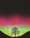 Sycamore Gap vandals are jailed10