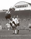 Fans mourn passing of legendary 'Wyn the Leap'9