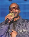 Swans hope to maximise potential of Modric and Snoop Dogg investment26