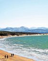 Police to patrol beach in crackdown on fires and barbecues Police to patrol beach in crackdown on fires and barbecues14