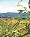 Anger and frustration as huge Anglesey solar farm approved5
