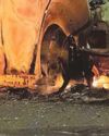 Grief and anger turned to 'mayhem' in city suburb, riot trial told Grief and anger turned to 'mayhem' in city suburb, riot trial told6
