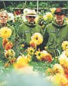 Super Furry Animals re-form for first live shows in a decade3
