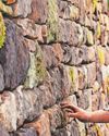 Expert's work at historic garden Western Mail