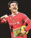 Western Mail