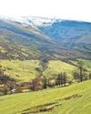 Western Mail