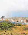 Western Mail