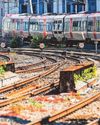 Western Mail