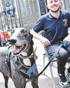Western Mail