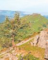 National park backed despite angry opposition17