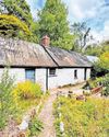 Western Mail