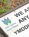 Western Mail