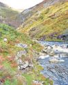 Western Mail