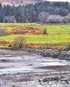 Western Mail