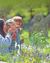 Church bluebells ring out to answer call of nature1