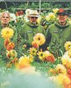 Super Furry Animals added to National Eisteddfod setlist4