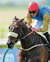 Night Raider to win Temple Stakes at Haydock Park29