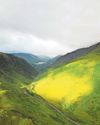 Long-lost flora are found not to be missing after all Long-lost flora are found not to be missing after all2