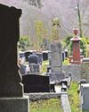 New funerary options under review in Wales2