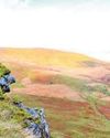Western Mail