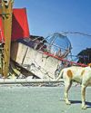 Buildings collapse as Philippines earthquake kills at least 3511