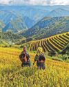 Food imports at risk from El Nio22