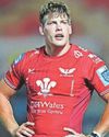 Back row Taylor to leave the Scarlets Back row Taylor to leave the Scarlets35