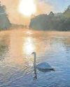 Water quality warning as temperatures set to soar Sunday Mercury