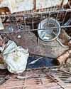 Inside home where cruel owner left five dogs in filth Sunday Mercury
