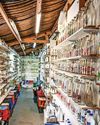Collection is legend-DAIRY Sunday Mercury