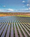 'Monstrous' solar projects 'taking over farmland'1