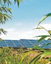 Druid rocks 'at risk' from huge island solar farm2