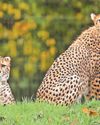 Zoo's new arrivals could help secure future of species0