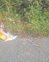 North Wales Weekly News
