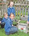 The Chester Chronicle