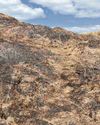 Fires can spread rapidly damaging the environment Fires can spread rapidly damaging the environment15