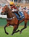 Teal’s charge in a winning return24