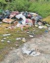Woman, 30, fined £1,200 for fly-tipping Woman, 30, fined £1,200 for fly-tipping18