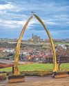 Arch replacement bid faces obstacles Arch replacement bid faces obstacles29