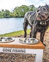 Tributes paid to much-loved Ted18