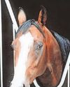 Shergar was killed ‘in an awful way’ Shergar was killed ‘in an awful way’26