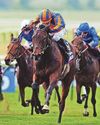 O'Brien pair on course for Coronation rematch O'Brien pair on course for Coronation rematch36